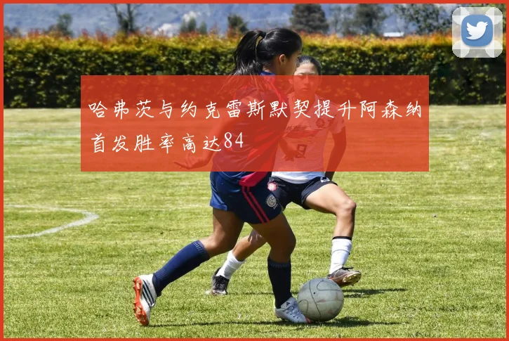 哈弗茨与约克雷斯默契提升阿森纳首发胜率高达84