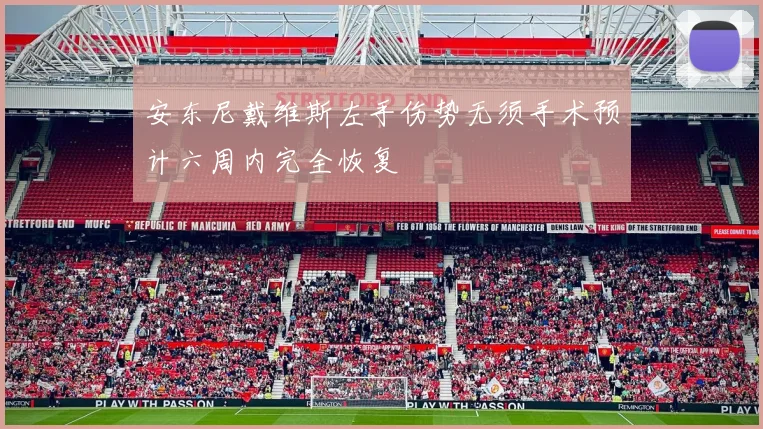 安东尼戴维斯左手伤势无须手术预计六周内完全恢复