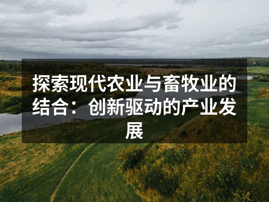 现代化农业养殖场